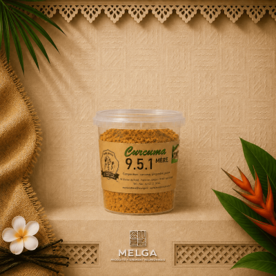 CURCUMA MÈRE 951 EN POTS - La Maison du Curcuma / Mémé Rivière